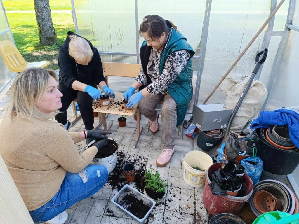 Trys moterys sėdi ant kėdžių šiltnamyje ir sodina sodinukus į mažus vazonus.