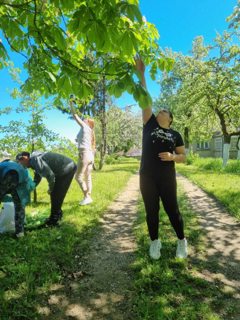 Nuotraukoje yra keturi žmonės sode, šviečia saulė. Dvi moterys nuo medžio raško vaisius, du vyrai rankioja vaisius nuo žemės.